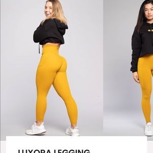 Paragon leggings